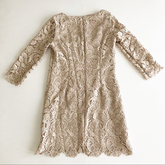 White House Black Market Lace Cocktail Dress Sz 0 - Picture 5 of 10